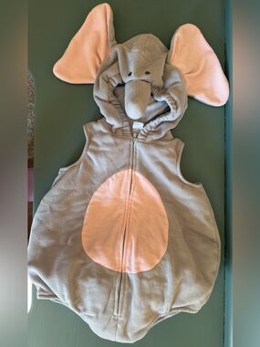 Carter's elephant costume
